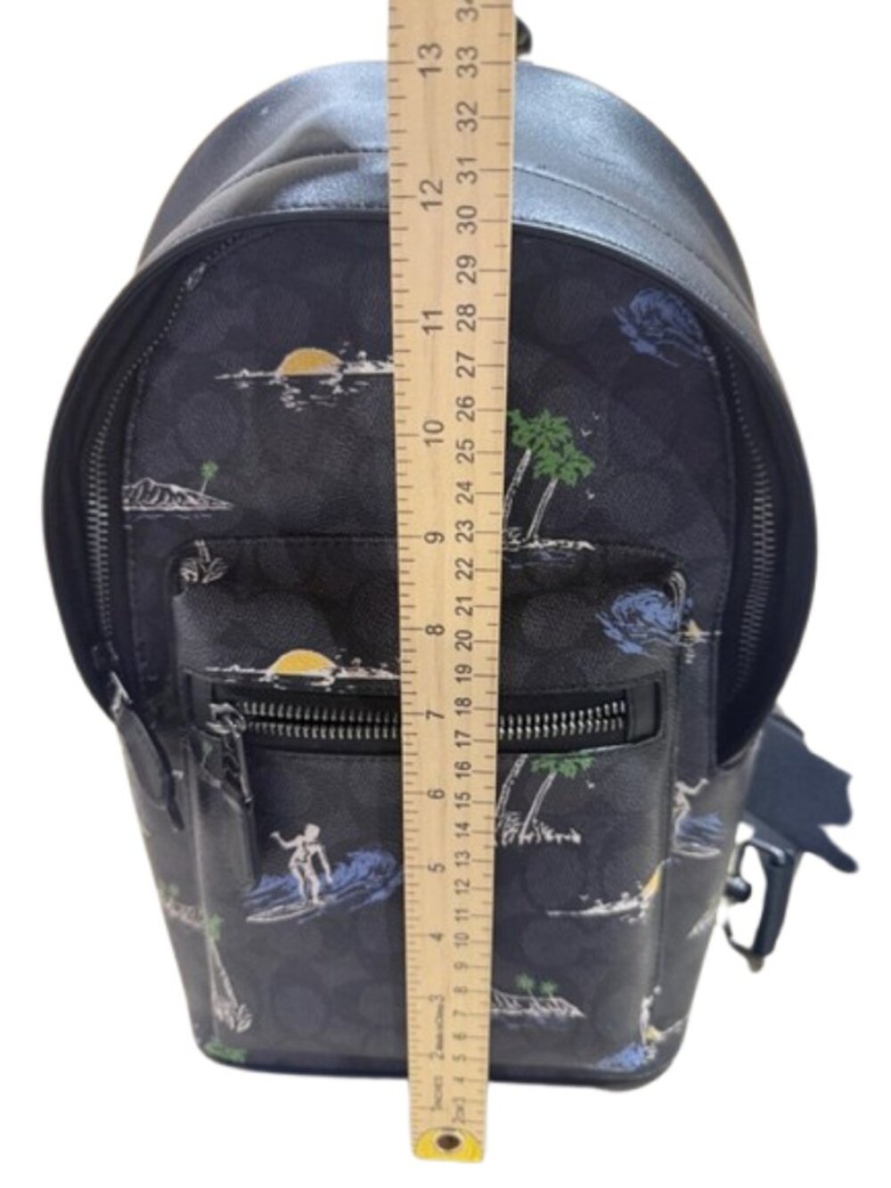 Coach West Pack Sling Bag Charcoal Multi Signature Canvas Surf Print NWT - Picture 10 of 14